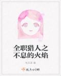 全职猎人之不息的火焰章节列表