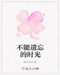不能遗忘的时光章节列表