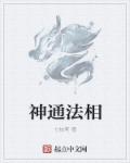 神通法相章节列表