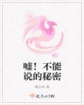嘘！不能说的秘密章节列表