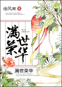 满世荣华章节列表