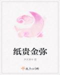纸贵金弥章节列表