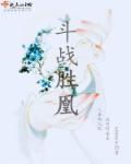 斗战胜凰章节列表