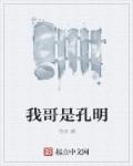 我哥是孔明章节列表