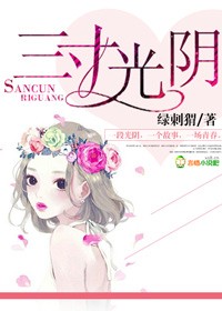 三寸光阴章节列表