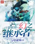口袋妖怪幻之继承者章节列表