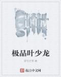 极品叶少龙章节列表