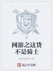 网游之这货不是骑士章节列表