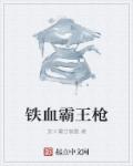 铁血霸王枪章节列表