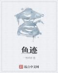 鱼迹章节列表