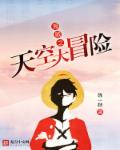 海贼之天空大冒险章节列表