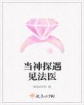 当神探遇见法医章节列表