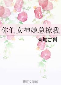 你们女神她总撩我章节列表