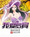 海贼之我爱罗宾章节列表