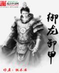御龙卸甲章节列表