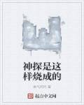 神探是这样烧成的章节列表