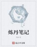 炼丹笔记章节列表