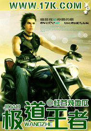 极道王者章节列表