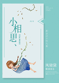 小相思章节列表