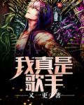 我真是歌手章节列表