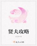 贤夫攻略章节列表