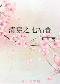 清穿之七福晋章节列表