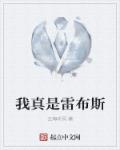 我真是雷布斯章节列表