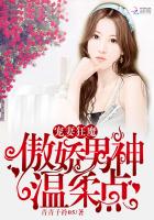 宠妻狂魔：傲娇男神温柔点章节列表