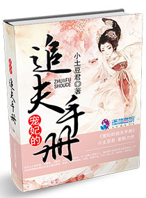 宠妃的追夫手册章节列表