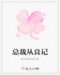 总裁从良记章节列表