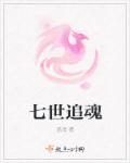 七世追魂章节列表
