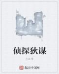 侦探狄谋章节列表