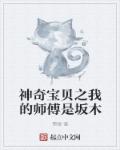 神奇宝贝之我的师傅是坂木章节列表