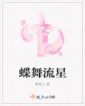 蝶舞流星章节列表