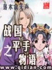 战国之平手物语章节列表