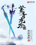 紫青龙吟记章节列表