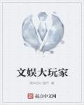 文娱大玩家章节列表