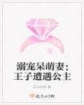溺宠呆萌妻：王子遭遇公主章节列表