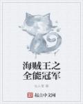 海贼王之全能冠军章节列表