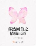 蓦然回首之情殇已逝章节列表
