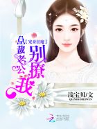 宠妻狂魔：总裁老公别撩我章节列表