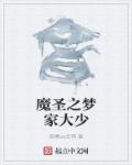 魔圣之梦家大少章节列表