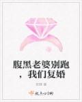 腹黑老婆别跑，我们复婚章节列表