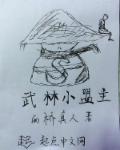 武林小盟主章节列表