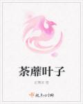 荼蘼叶子章节列表