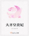 大齐皇贵妃章节列表
