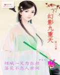 幻影九重天章节列表