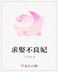 求娶不良妃章节列表