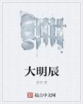 大明辰章节列表