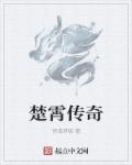楚霄传奇章节列表